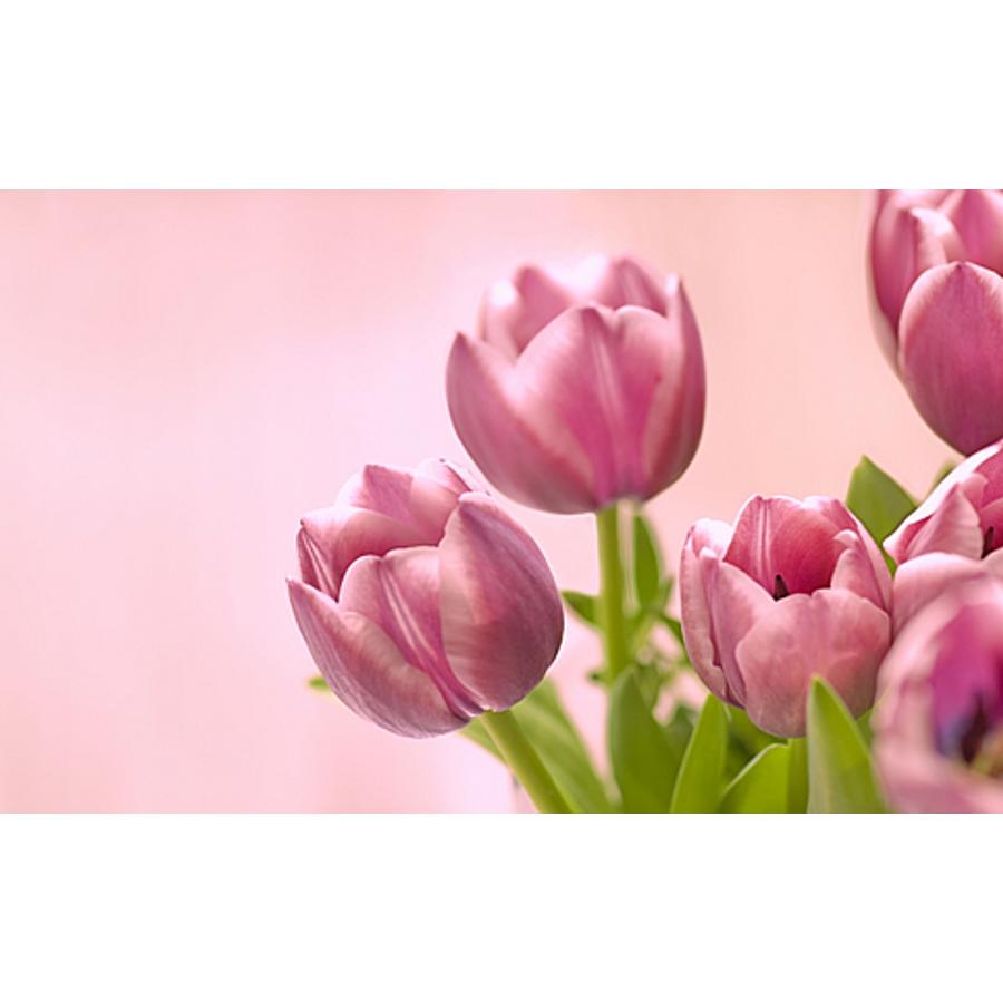 BÉBÉ bőr puhatalpú alkalmi babacipő, szürke (kocsicipő)- 17 BÉBÉ bőr puhatalpú alkalmi babacipő, szürke (kocsicipő)- 17